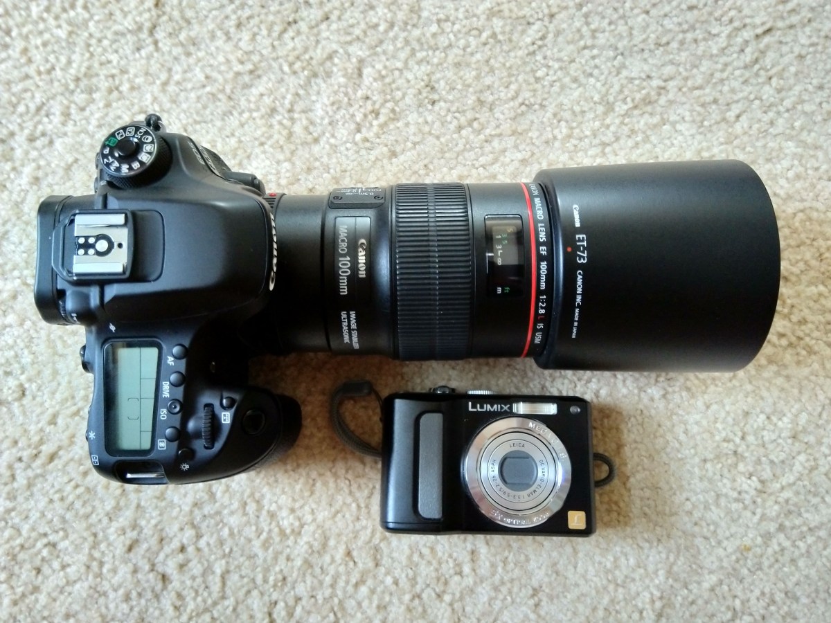 Ten photos for ten&nbsp;years