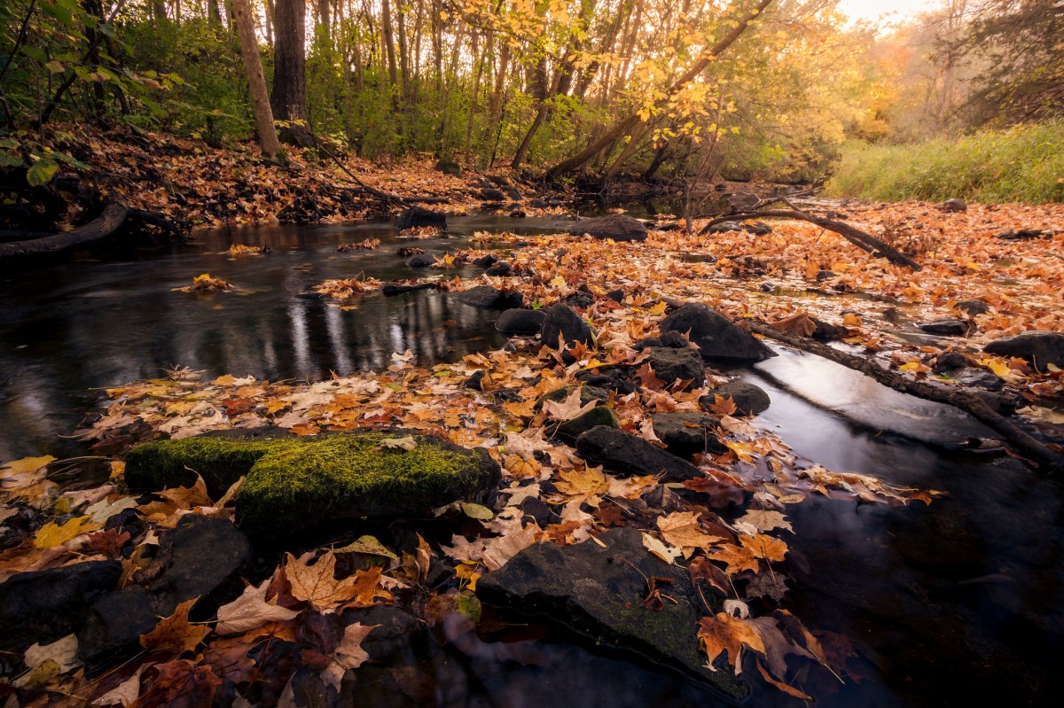 Location Profile: Heath&nbsp;Creek