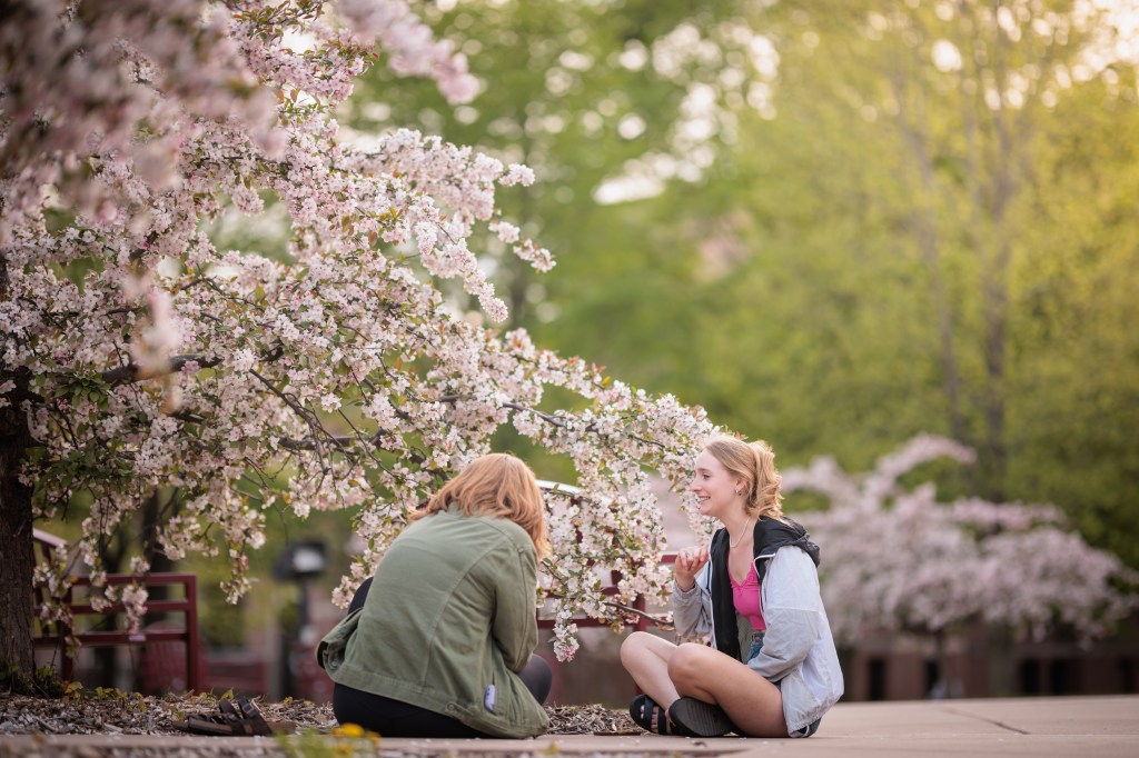 Two students sit on the ground next to a blooming crabapple tree.